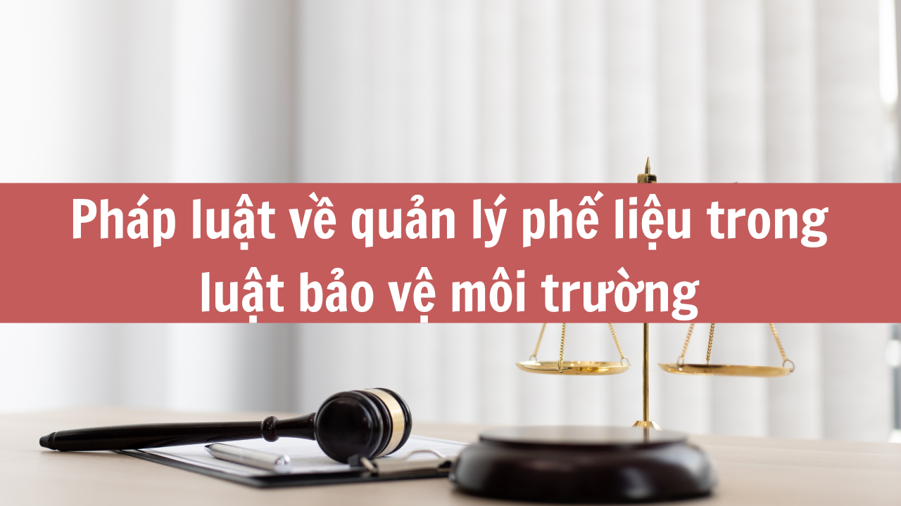 Pháp luật về quản lý phế liệu trong luật bảo vệ môi trường 