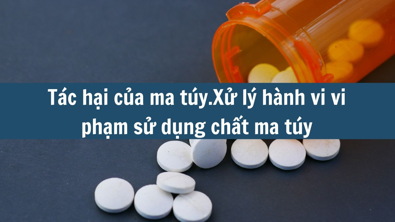 Tác hại của ma túy. Xử lý hành vi vi phạm sử dụng chất ma túy