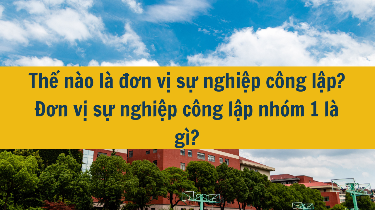 Thế nào là đơn vị sự nghiệp công lập? Đơn vị sự nghiệp công lập nhóm 1 là gì?