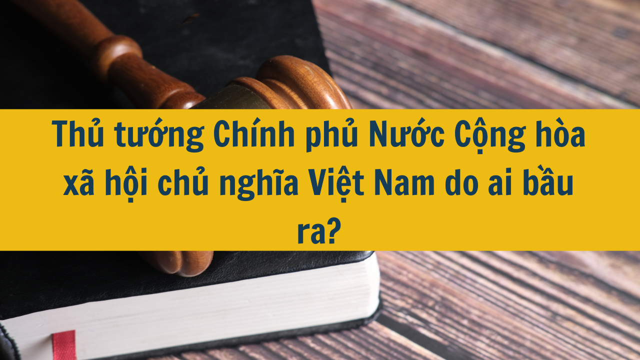 Thủ tướng Chính phủ Nước Cộng hòa xã hội chủ nghĩa Việt Nam do ai bầu ra? 