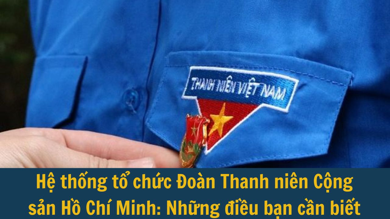 Hệ thống tổ chức Đoàn Thanh niên Cộng sản Hồ Chí Minh: Những điều bạn cần biết