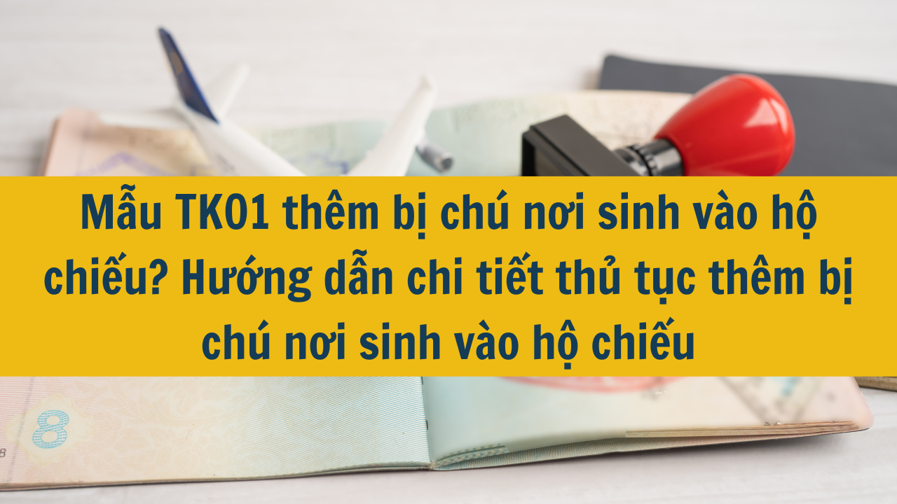 Mẫu TK01 thêm bị chú nơi sinh vào hộ chiếu? Hướng dẫn chi tiết thủ tục thêm bị chú nơi sinh vào hộ chiếu