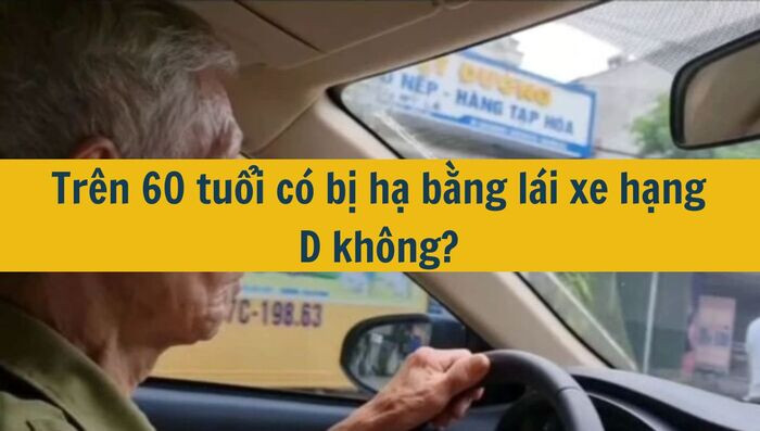 Tr&ecirc;n 60 tuổi c&oacute; bị hạ bằng l&aacute;i xe hạng D kh&ocirc;ng mới nhất 2025?
