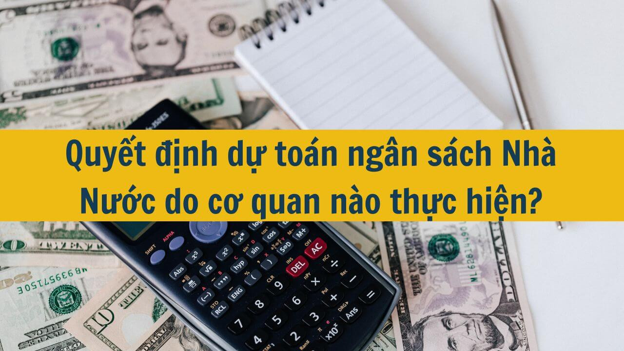 Quyết định dự toán ngân sách Nhà Nước do cơ quan nào thực hiện?