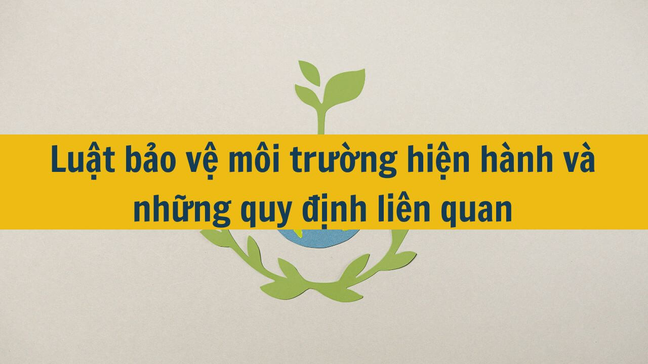 Luật bảo vệ môi trường hiện hành và những quy định liên quan