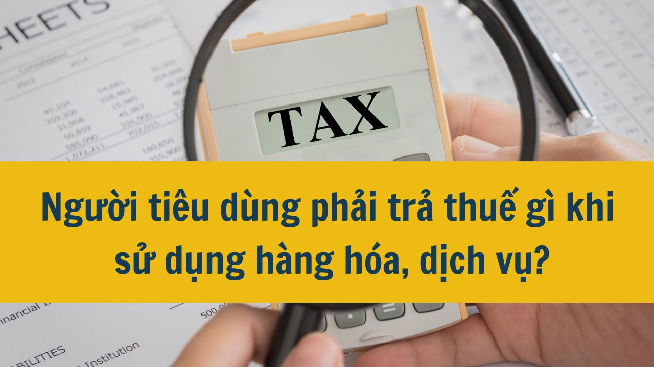 Người ti&ecirc;u d&ugrave;ng phải trả thuế g&igrave; khi sử dụng h&agrave;ng h&oacute;a, dịch vụ?