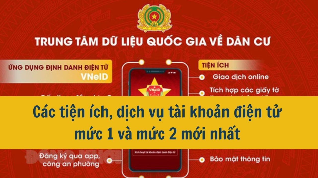 Các tiện ích, dịch vụ tài khoản điện tử mức 1 và mức 2