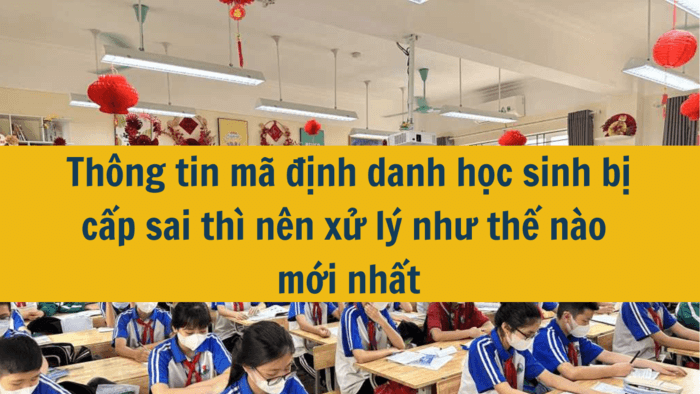 Th&ocirc;ng tin m&atilde; định danh học sinh bị cấp sai th&igrave; n&ecirc;n xử l&yacute; như thế n&agrave;o mới nhất 2025?