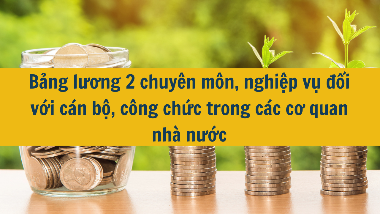  Bảng lương 2 chuyên môn, nghiệp vụ đối với cán bộ, công chức trong các cơ quan nhà nước