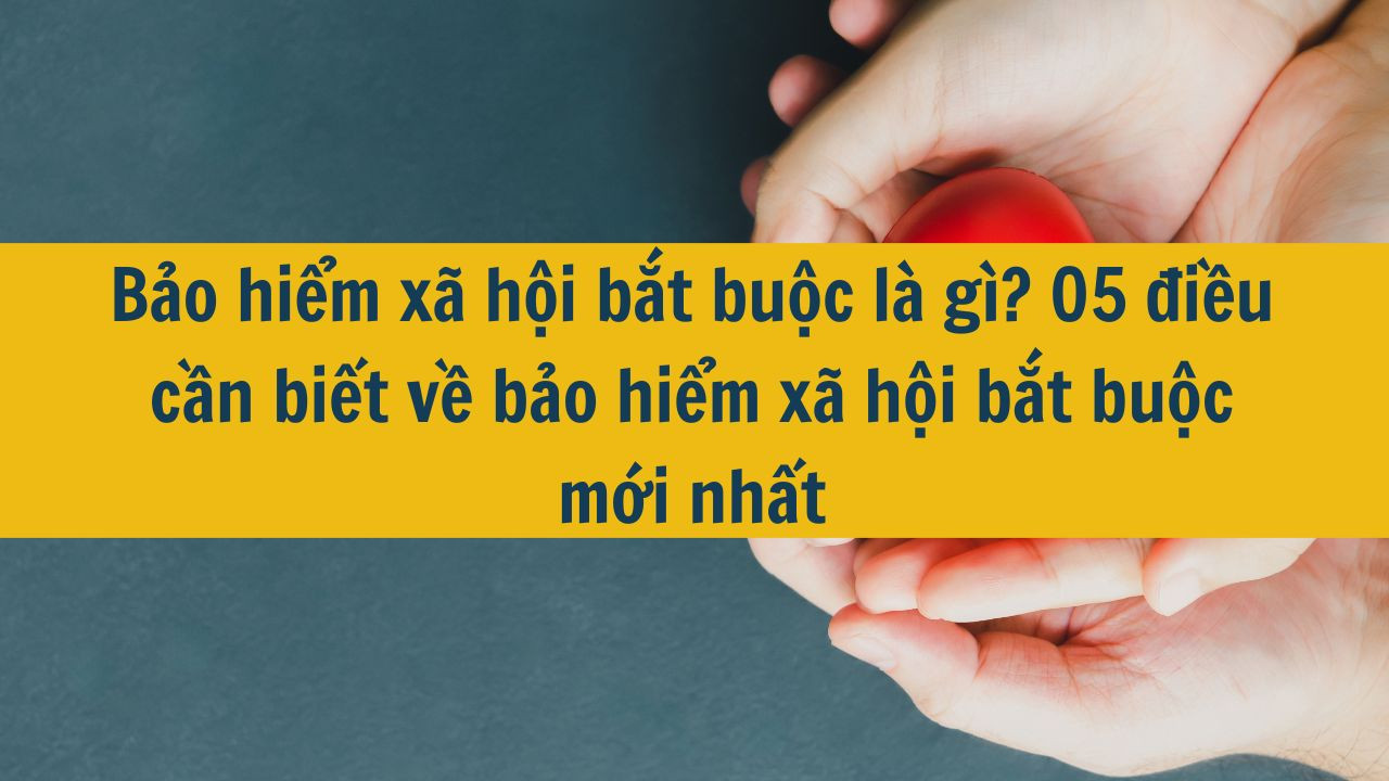 Bảo hiểm xã hội bắt buộc là gì? 05 điều cần biết về bảo hiểm xã hội bắt buộc mới nhất năm 2025