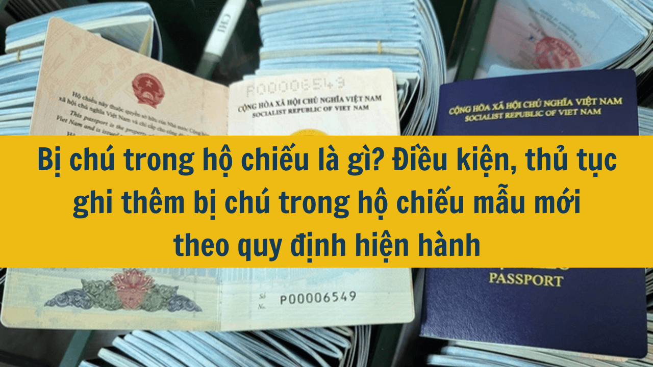 Bị chú trong hộ chiếu là gì? Điều kiện, thủ tục ghi thêm bị chú trong hộ chiếu mẫu mới theo quy định hiện hành 2024