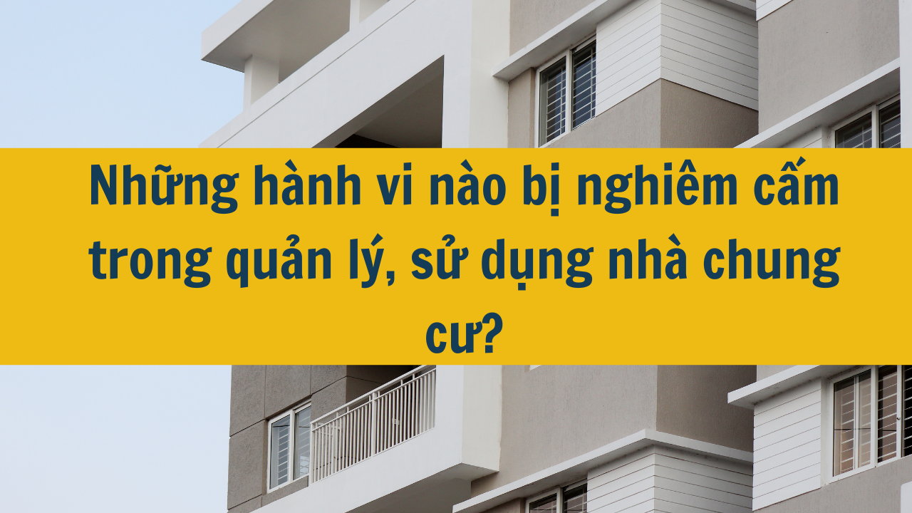 Những hành vi nào bị nghiêm cấm trong quản lý, sử dụng nhà chung cư năm 2024?