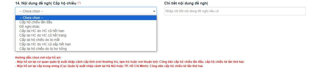 Chọn nội dung đề nghị cấp hộ chiếu phù hợp