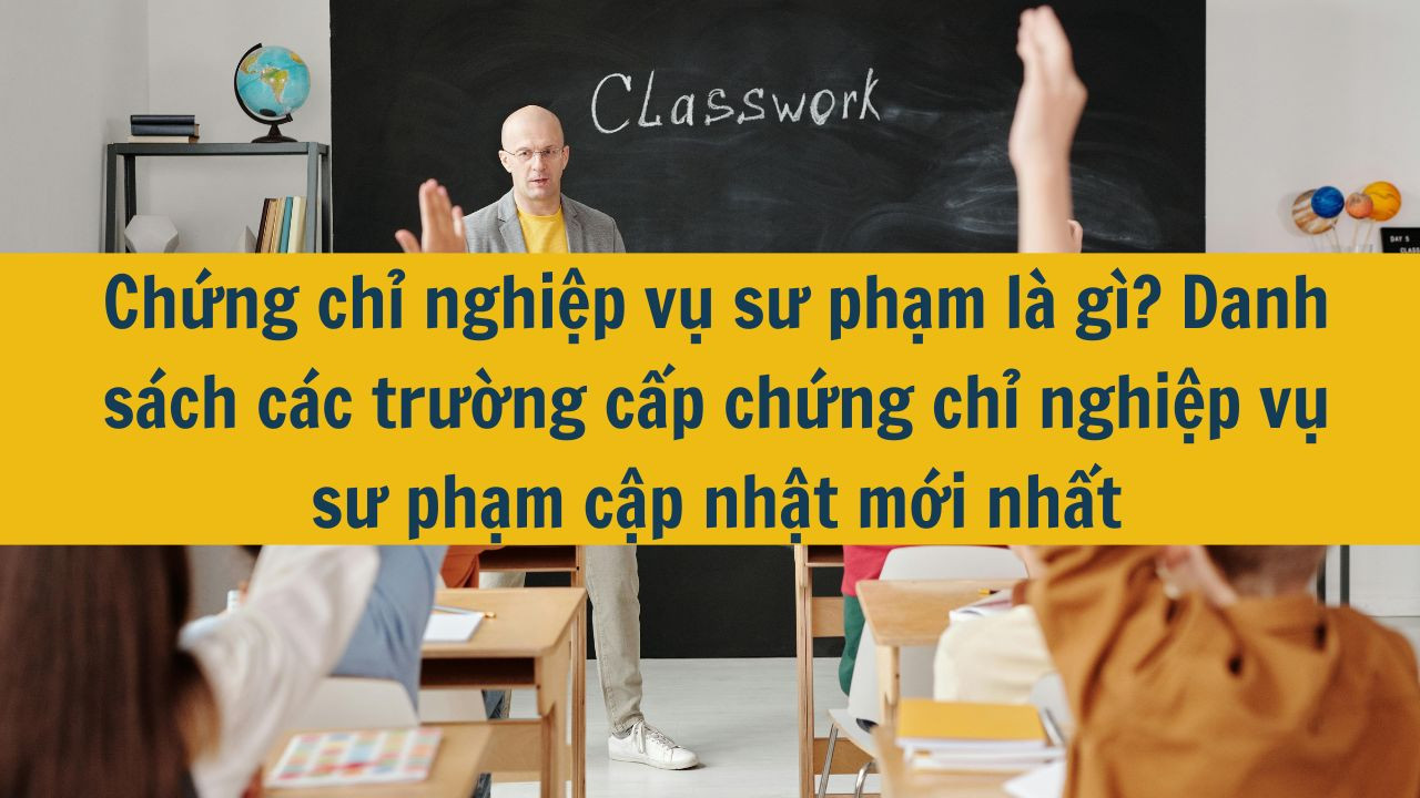 Chứng chỉ nghiệp vụ sư phạm l&agrave; g&igrave;? Danh s&aacute;ch c&aacute;c trường cấp chứng chỉ nghiệp vụ sư phạm cập nhật mới nhất 2025