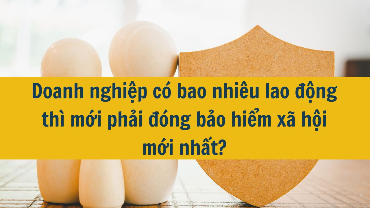 Doanh nghiệp có bao nhiêu lao động thì mới phải đóng bảo hiểm xã hội mới nhất 2025?