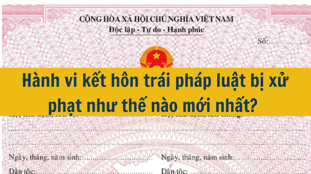 Hành vi kết hôn trái pháp luật bị xử phạt như thế nào mới nhất 2025?