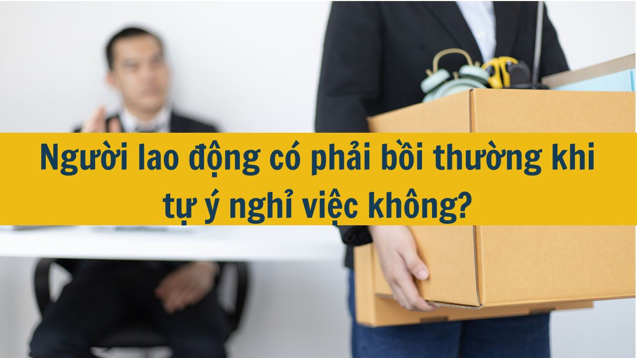 Người lao động c&oacute; phải bồi thường khi tự &yacute; nghỉ việc kh&ocirc;ng?