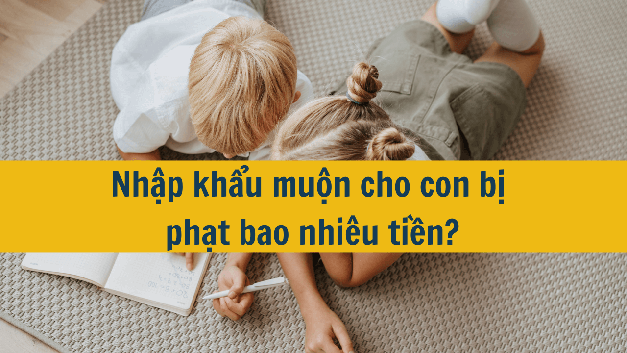 Nhập khẩu muộn cho con bị phạt bao nhiêu tiền?