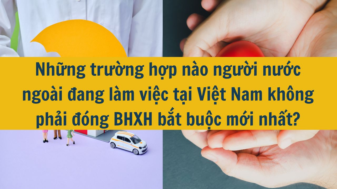 Những trường hợp nào người nước ngoài đang làm việc tại Việt Nam không phải đóng BHXH bắt buộc mới nhất 2025?