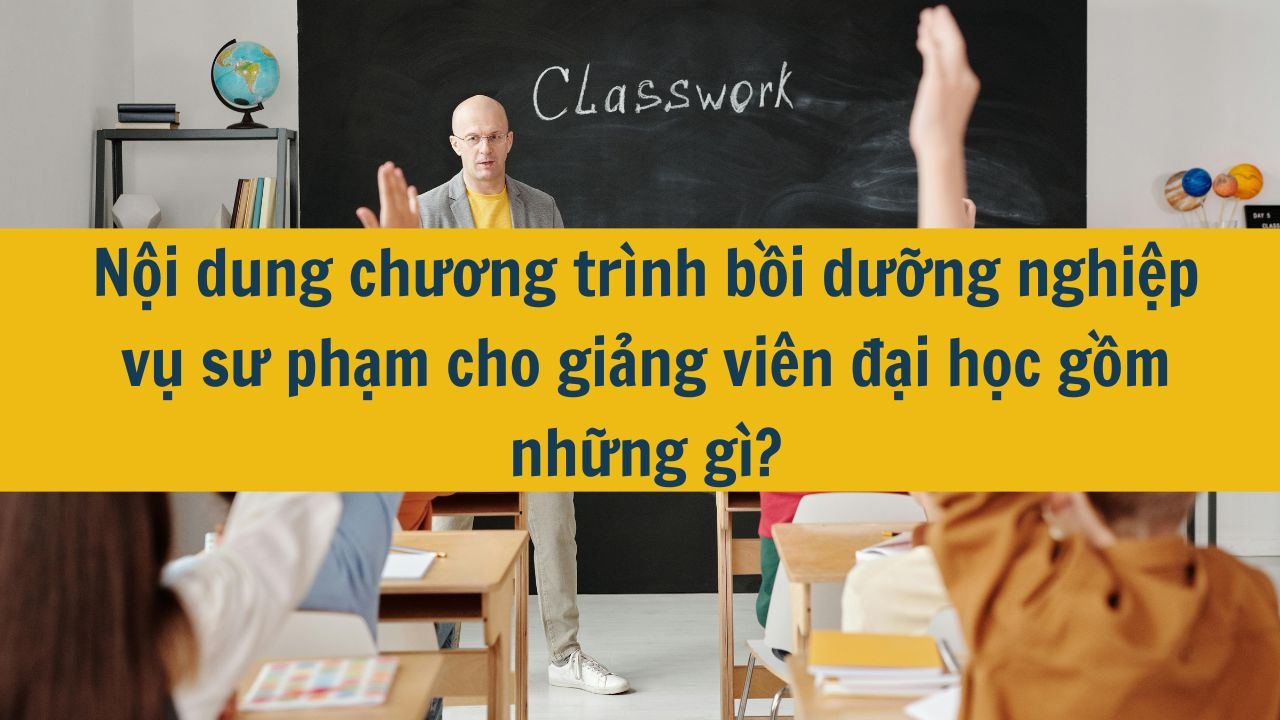 Nội dung chương tr&igrave;nh bồi dưỡng nghiệp vụ sư phạm cho giảng vi&ecirc;n đại học gồm những g&igrave;?