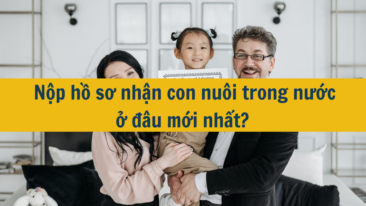  Nộp hồ sơ nhận con nuôi trong nước ở đâu mới nhất 2025?