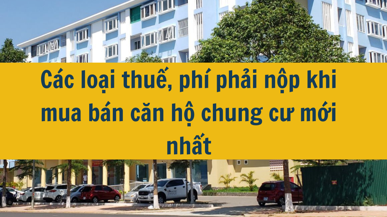 Các loại thuế, phí phải nộp khi mua bán căn hộ chung cư mới nhất năm 2024