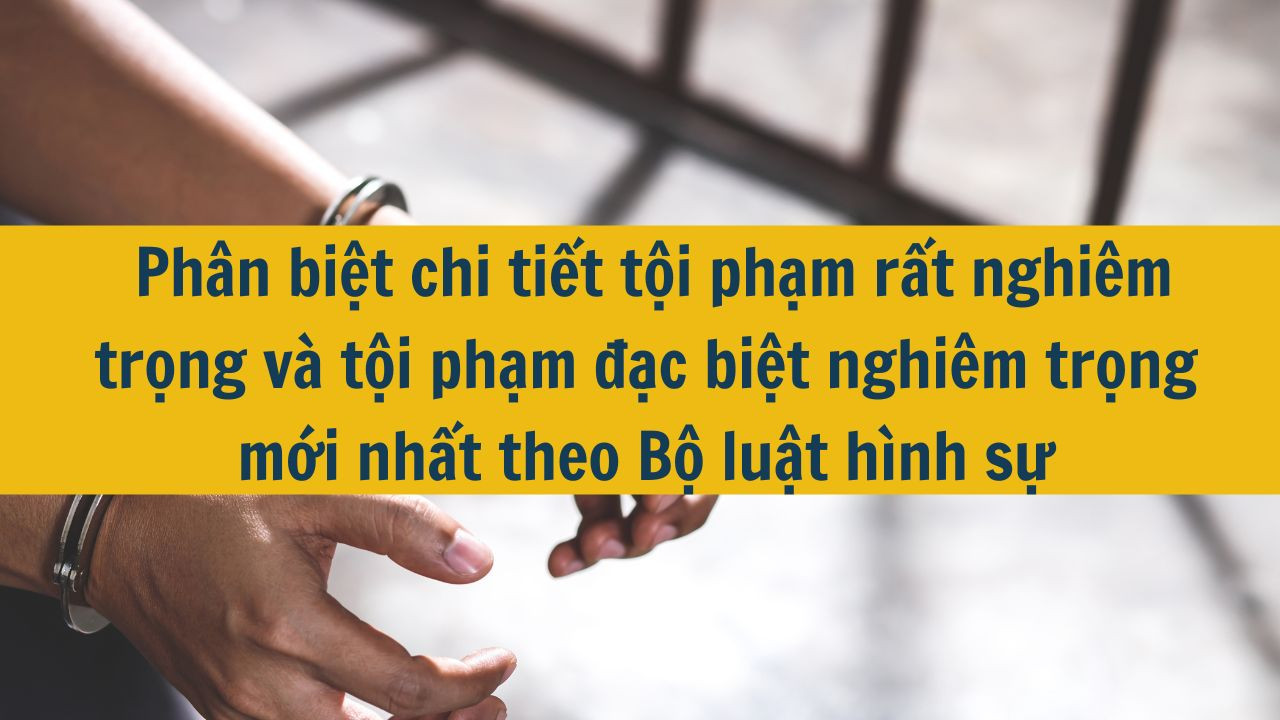  Ph&acirc;n biệt chi tiết tội phạm rất nghi&ecirc;m trọng v&agrave; tội phạm đặc biệt nghi&ecirc;m trọng mới nhất 2025 theo Bộ luật h&igrave;nh sự