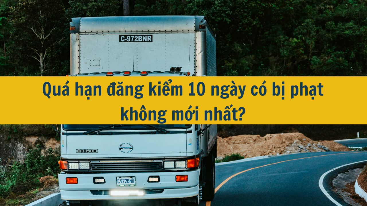 Qu&aacute; hạn đăng kiểm 10 ng&agrave;y c&oacute; bị phạt kh&ocirc;ng mới nhất 2025?