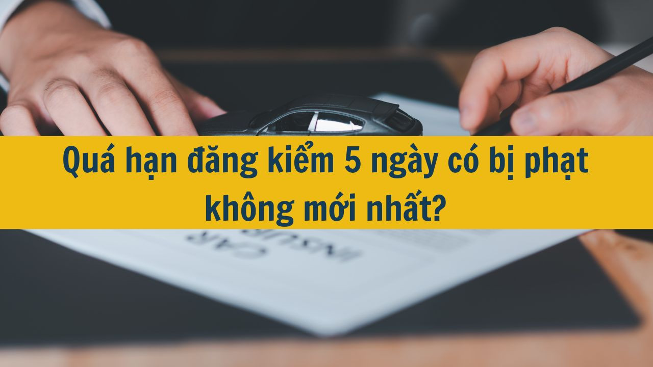 Qu&aacute; hạn đăng kiểm 5 ng&agrave;y c&oacute; bị phạt kh&ocirc;ng mới nhất 2025?