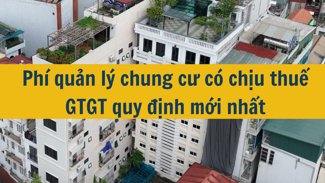 Phí quản lý chung cư có chịu thuế GTGT không năm 2024?