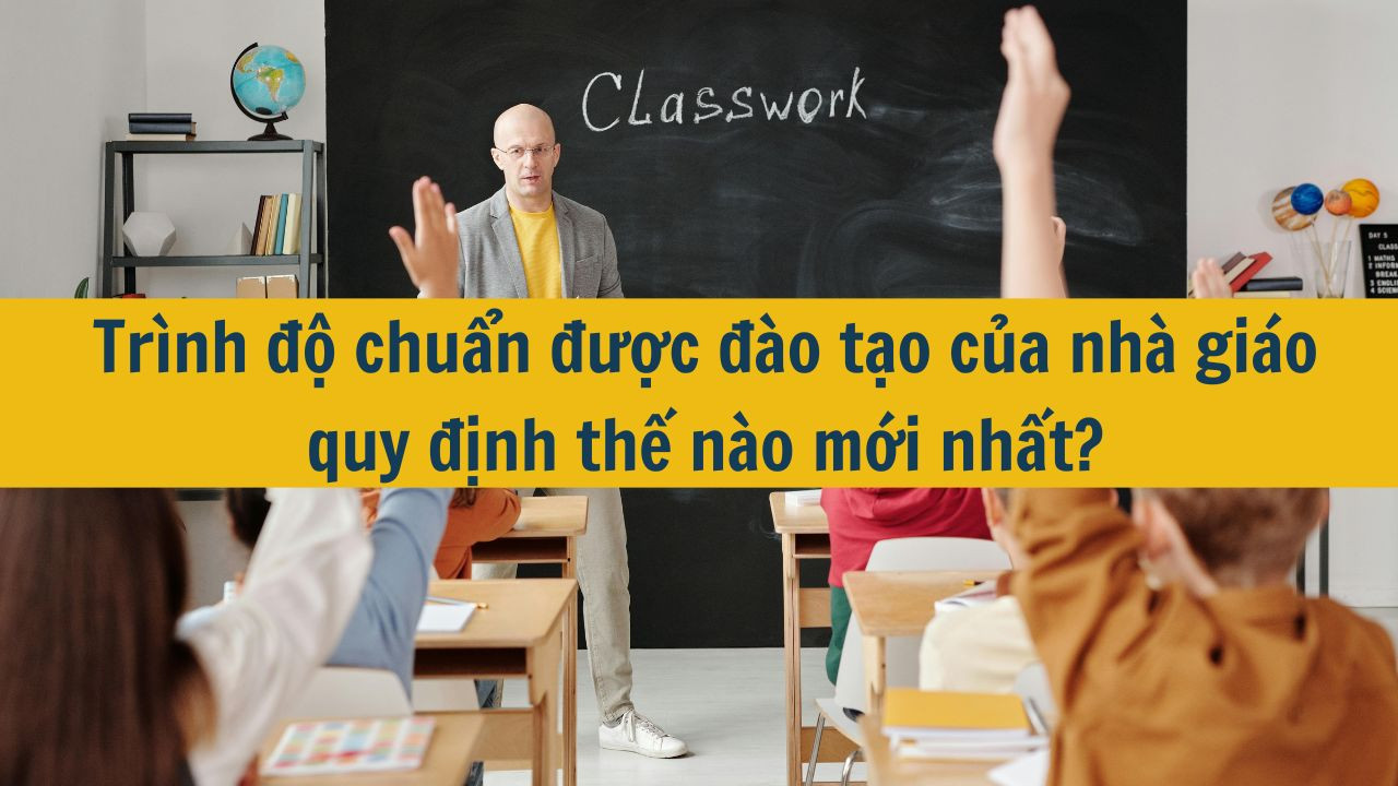 Tr&igrave;nh độ chuẩn được đ&agrave;o tạo của nh&agrave; gi&aacute;o quy định thế n&agrave;o mới nhất 2025?