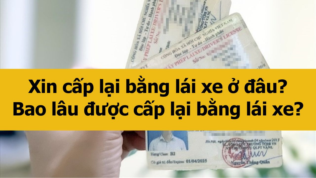 Xin cấp lại bằng lái xe ở đâu? Bao lâu được cấp lại bằng lái xe?