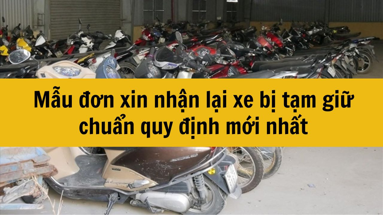 Mẫu đơn xin nhận lại xe bị tạm giữ chuẩn quy định mới nhất 2025
