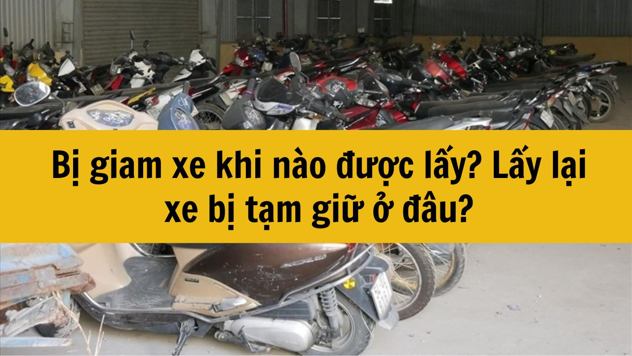 Bị giam xe khi n&agrave;o được lấy? Lấy lại xe bị tạm giữ ở đ&acirc;u mới nhất 2025?