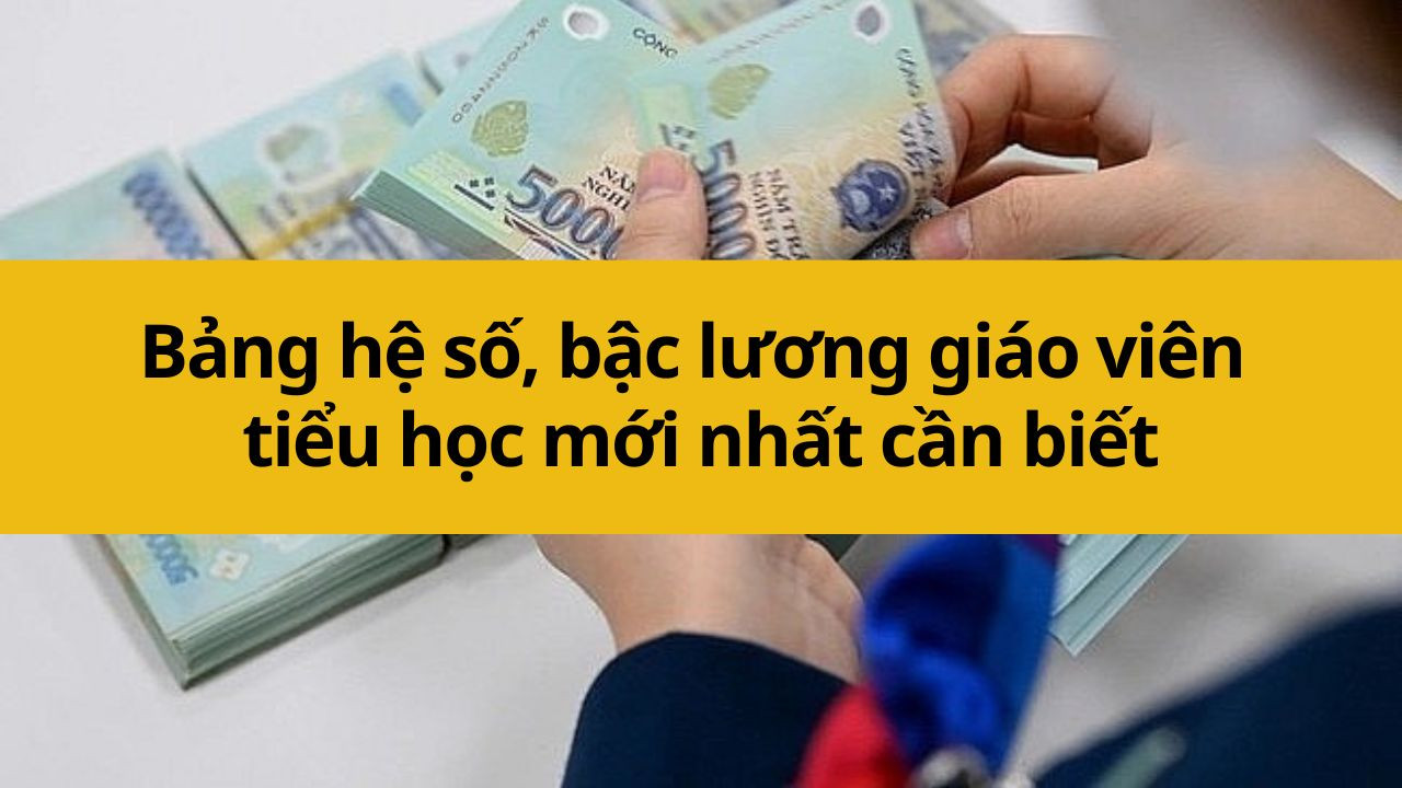 Bảng hệ số, bậc lương giáo viên tiểu học mới nhất 2025 cần biết