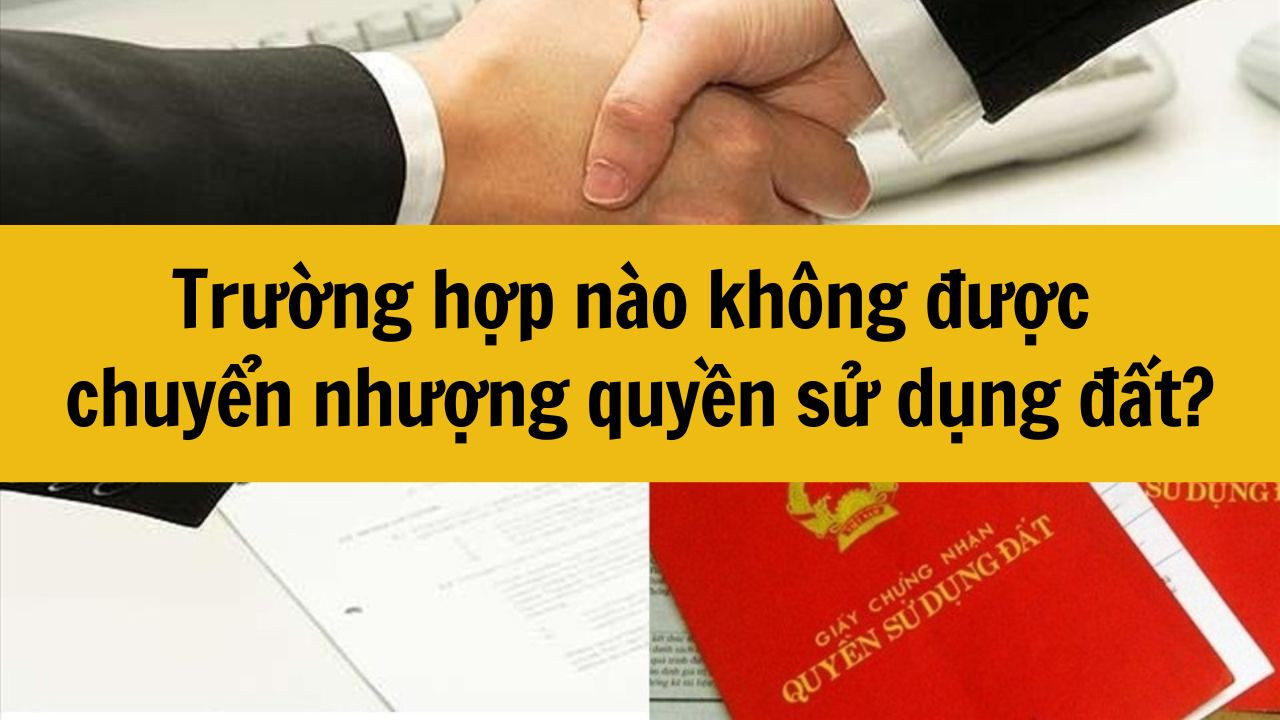 Trường hợp nào không được chuyển nhượng quyền sử dụng đất?