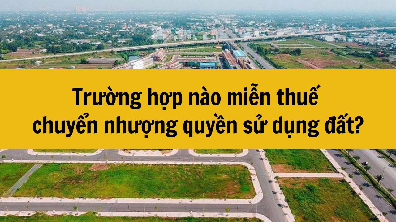 Trường hợp nào miễn thuế chuyển nhượng quyền sử dụng đất?