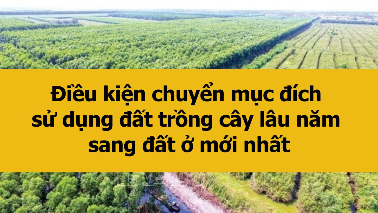 Điều kiện chuyển mục đích sử dụng đất trồng cây lâu năm sang đất ở mới nhất 2025