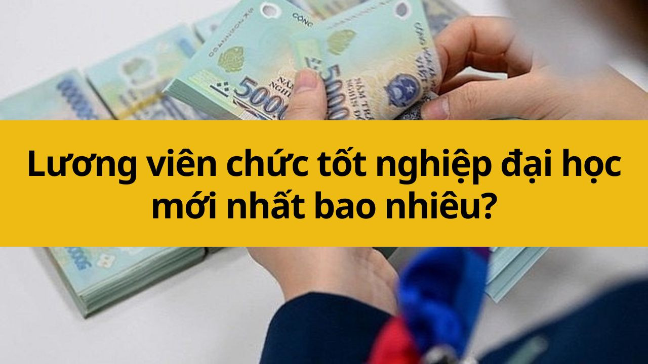 Lương viên chức tốt nghiệp đại học mới nhất 2025 bao nhiêu?