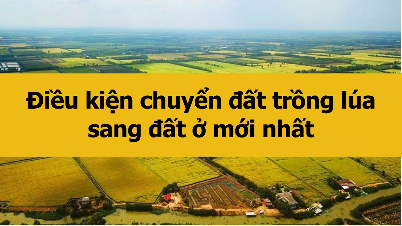 Điều kiện chuyển đất trồng lúa sang đất ở mới nhất 2025