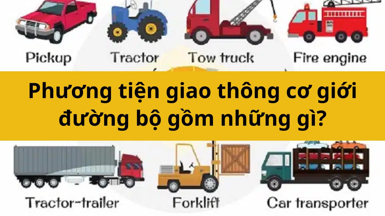 Phương tiện giao thông cơ giới đường bộ gồm những gì mới nhất 2025?