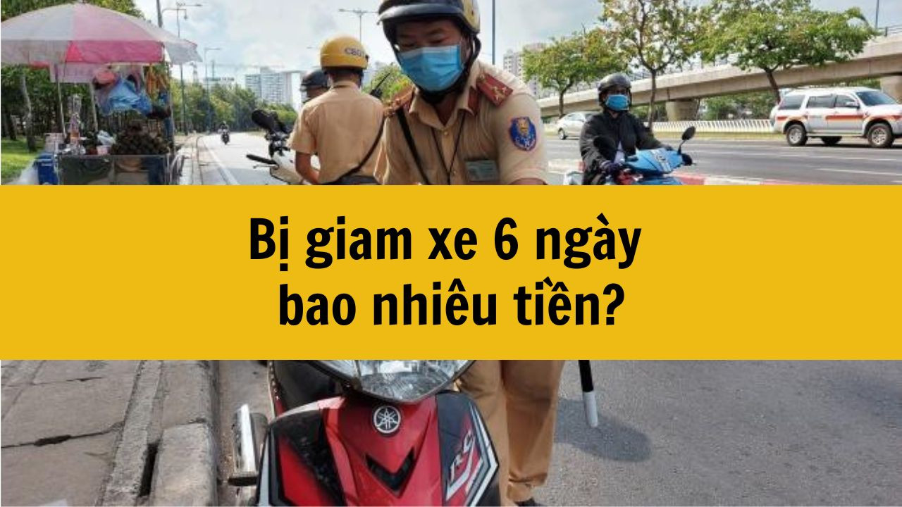 Bị giam xe 6 ng&agrave;y bao nhi&ecirc;u tiền mới nhất 2025?