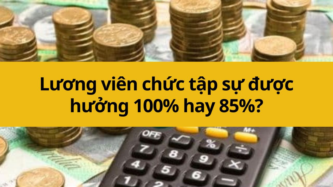 Lương viên chức tập sự được hưởng 100% hay 85%?