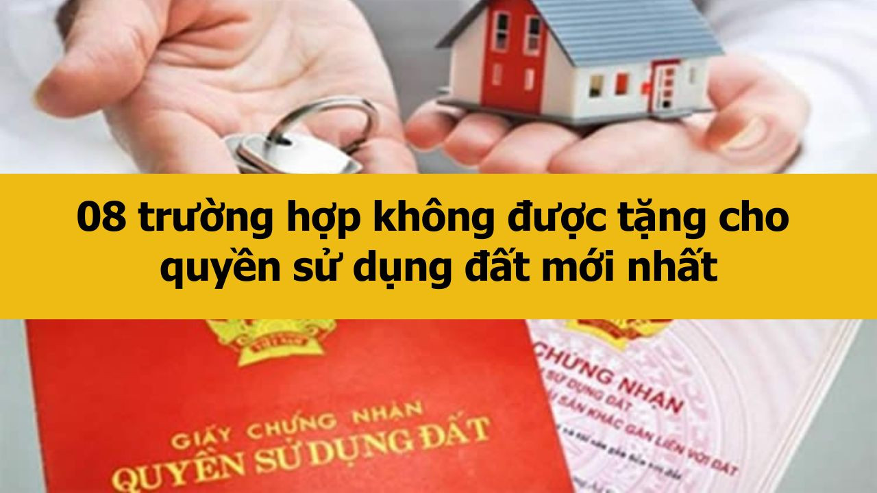 08 trường hợp không được tặng cho quyền sử dụng đất mới nhất 2025