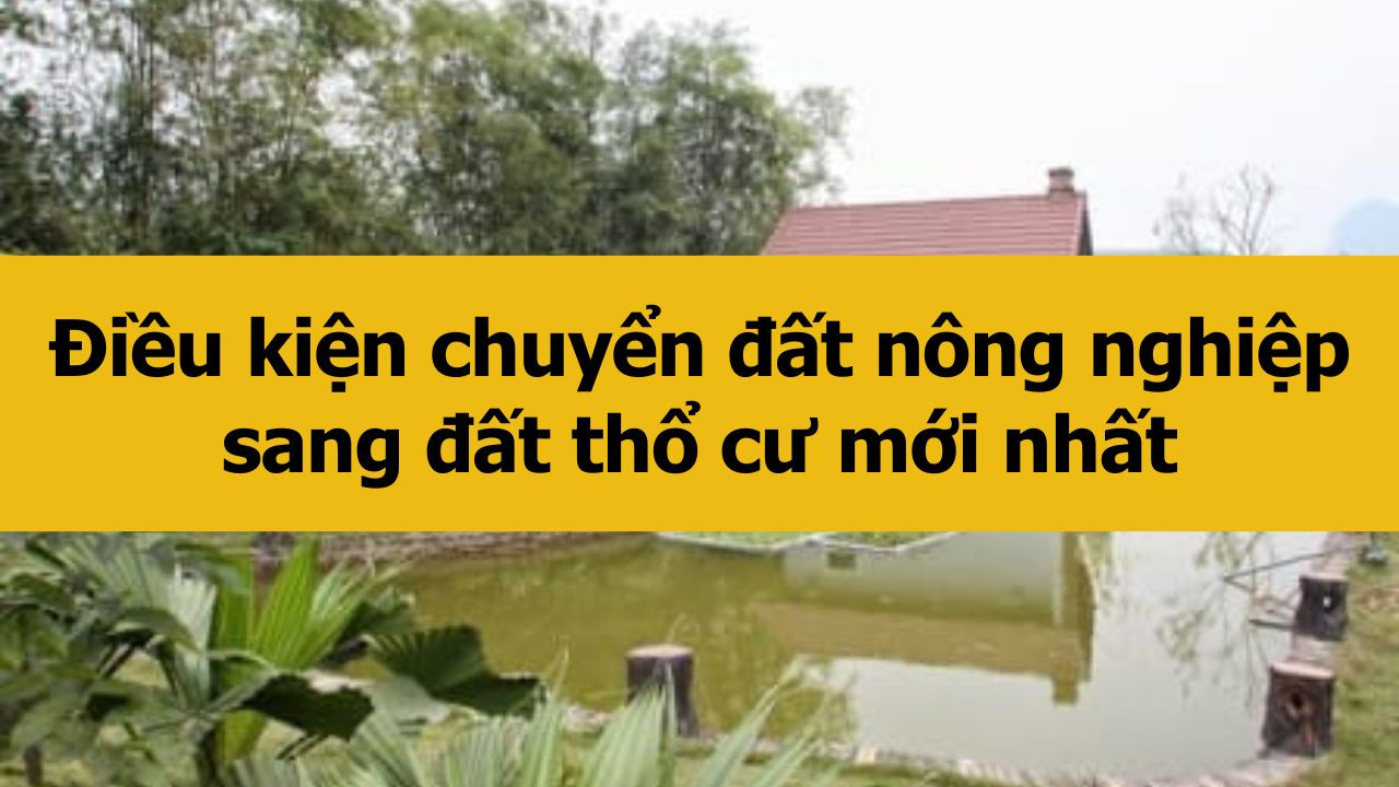 Điều kiện chuyển đất nông nghiệp sang đất thổ cư mới nhất 2025