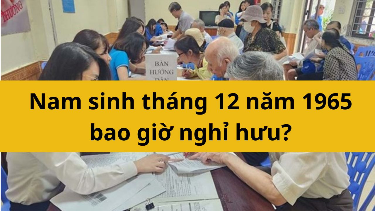 Nam sinh tháng 12 năm 1965 bao giờ nghỉ hưu?