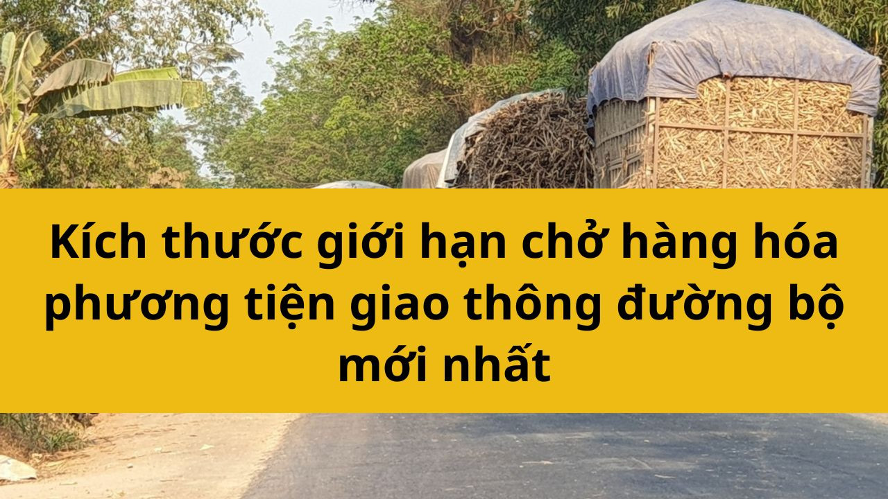 Kích thước giới hạn chở hàng hóa phương tiện giao thông đường bộ mới nhất 2025