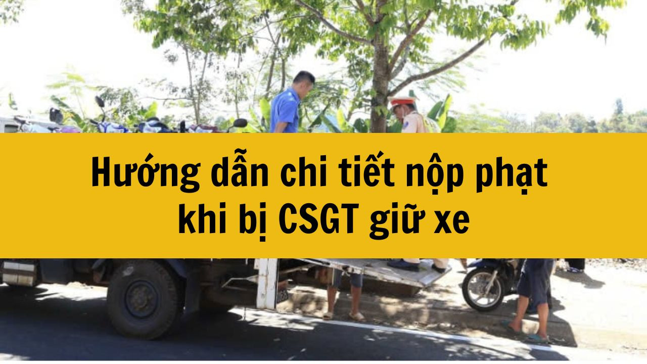Hướng dẫn chi tiết nộp phạt khi bị CSGT giữ xe mới nhất 2025