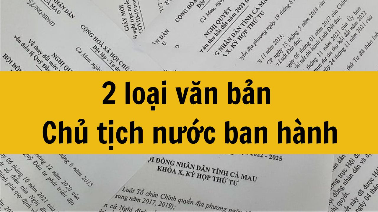 2 loại văn bản Chủ tịch nước ban h&agrave;nh mới nhất 2025