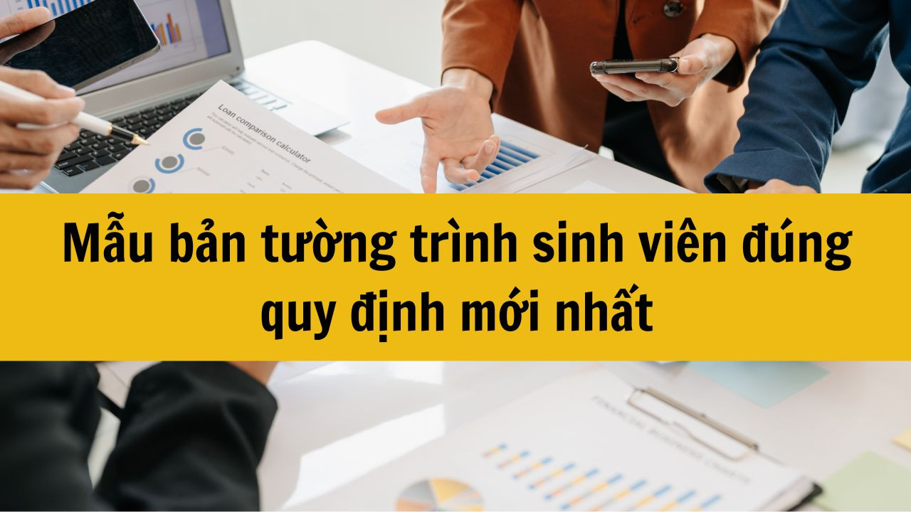 Mẫu bản tường tr&igrave;nh sinh vi&ecirc;n đ&uacute;ng quy định mới nhất 2025